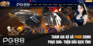 Đá gà PG88