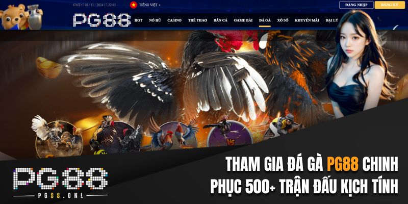 Đá gà PG88